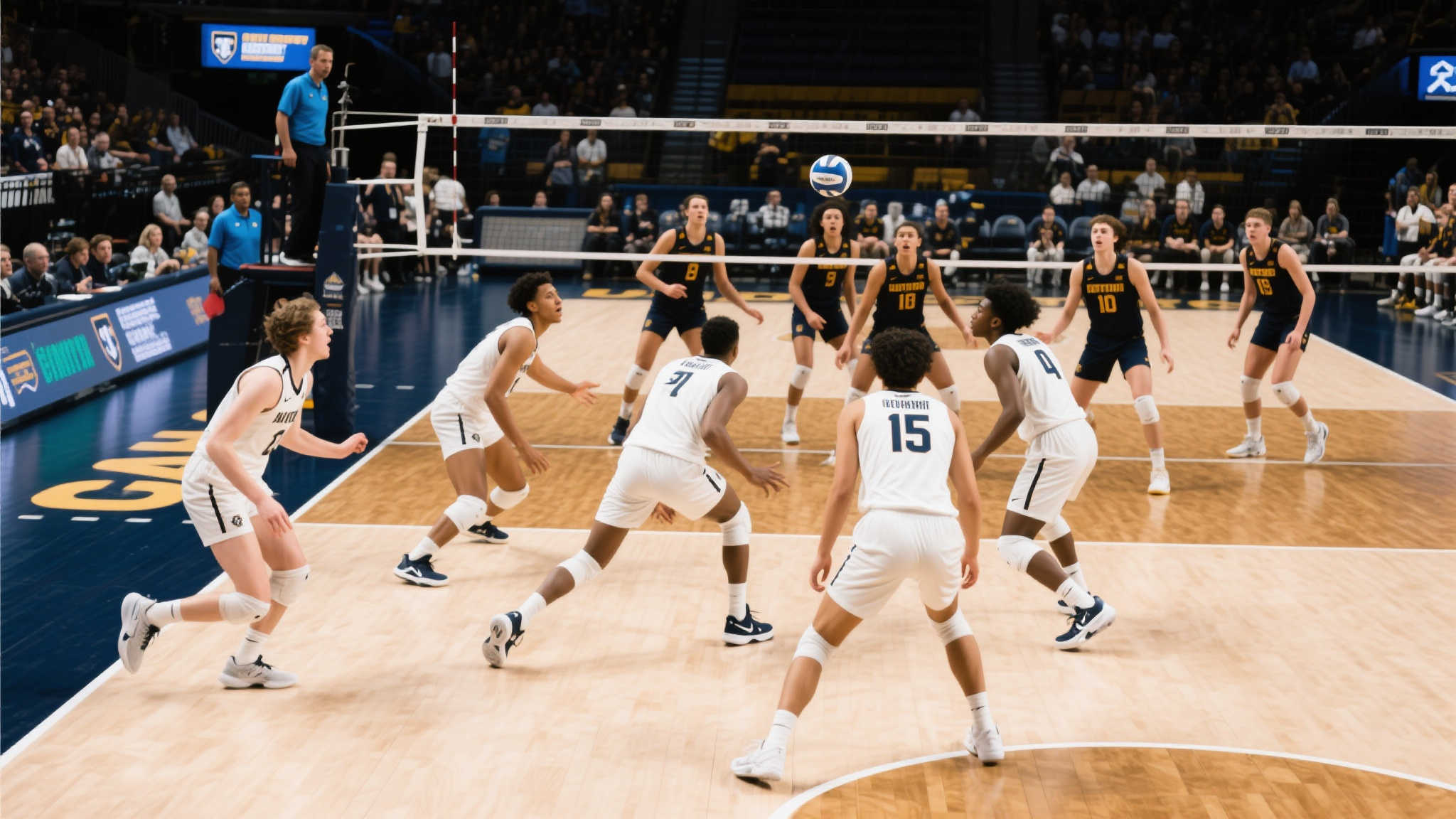 九游体育官网注册送彩金